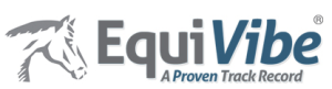 EquiVibe Logo