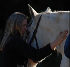 Screen Shot 2015-10-28 at 1.31.17 PM